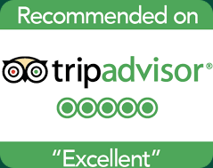 My Viva Tour Tripadvisor